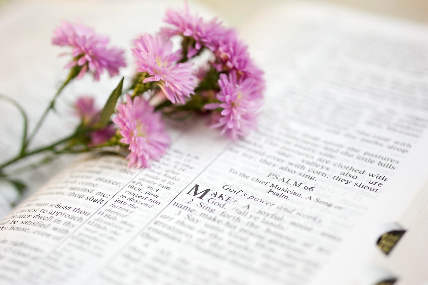 Flowers on a Bible open to the book of Psalms