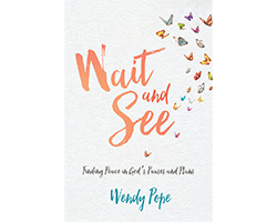 This is the cover for Wait and See, which is one of the best Christian books for women to study as a group.