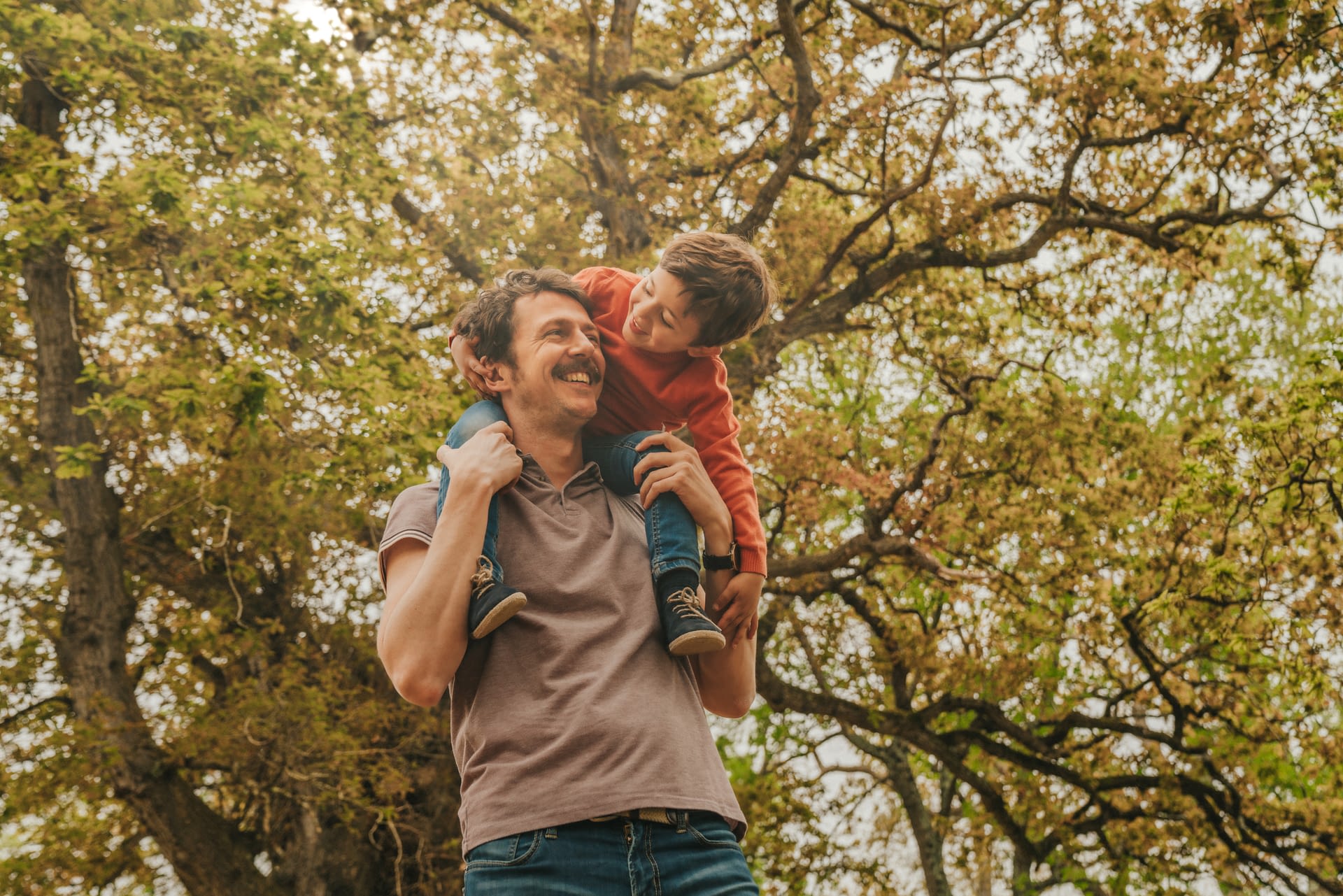 boy sitting on father's shoulders